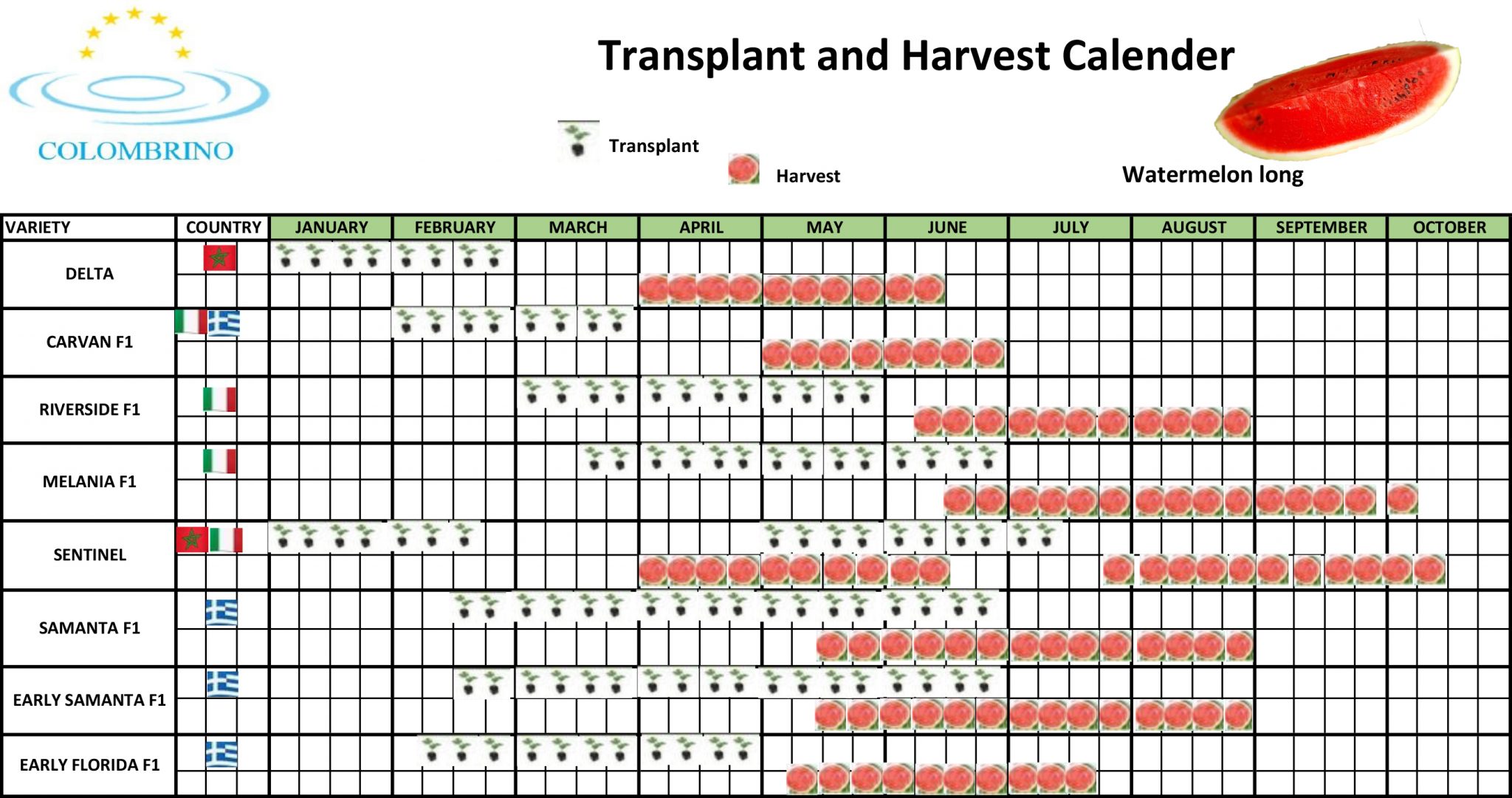 CALENDARIO TRAPIANTO E RACCOLTA Colombrino Group GmbH