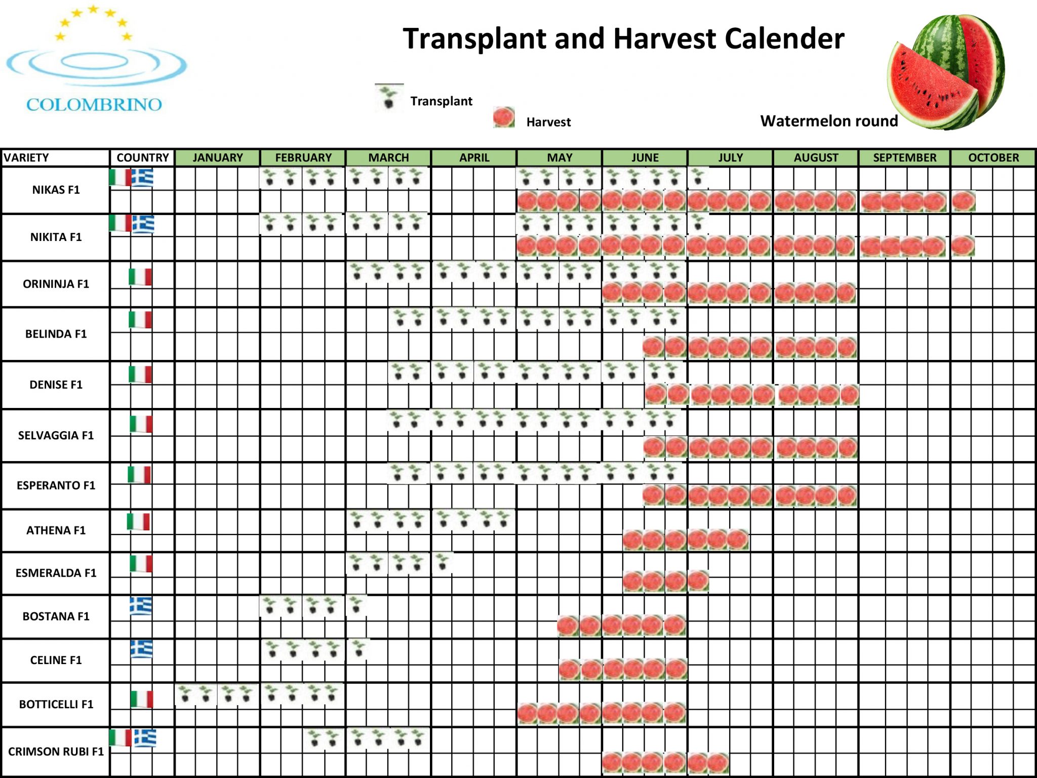 CALENDARIO TRAPIANTO E RACCOLTA Colombrino Group GmbH